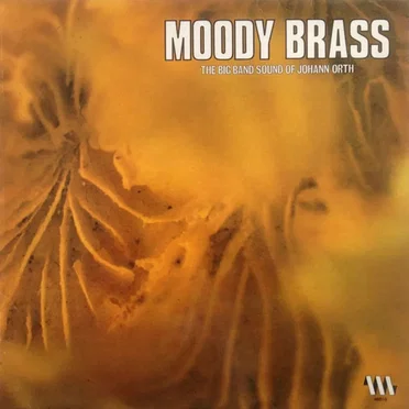Moody Brass by Johann Orth - album cover