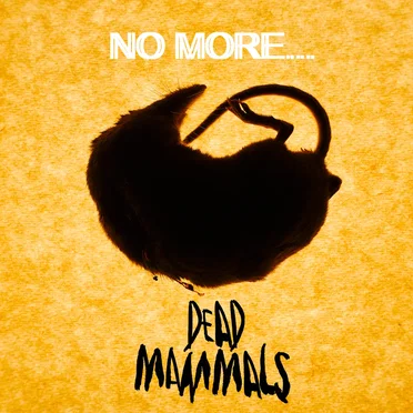 No More…