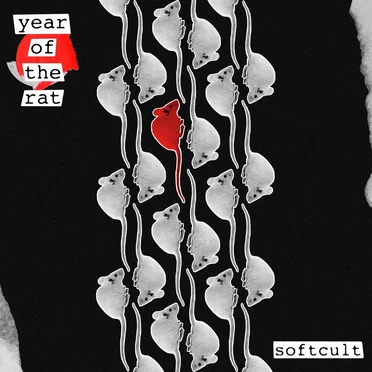 Year of the Rat