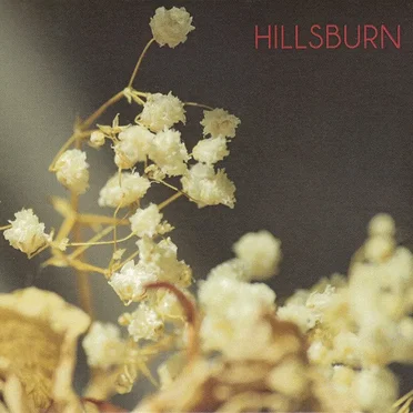 Hillsburn by Hillsburn - album cover