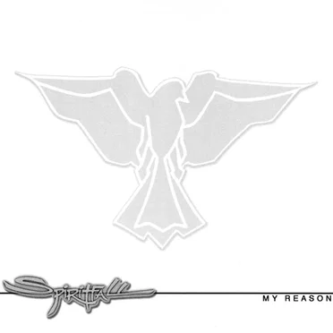 My Reason by Spiritfall - album cover