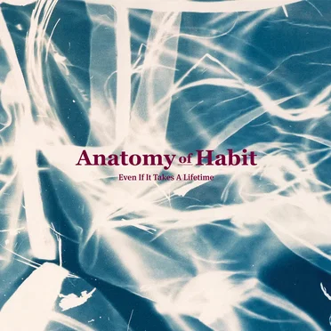 Even If It Takes a Lifetime by Anatomy of Habit - album cover
