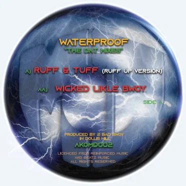 The DAT Mixes by Waterproof - album cover