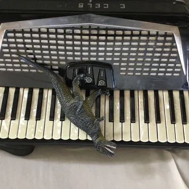 Short Songs About Dinosaurs