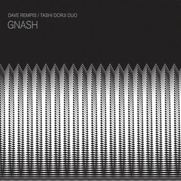 Gnash by Dave Rempis / Tashi Dorji Duo - album cover