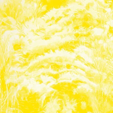 In the Half Light (instrumental)