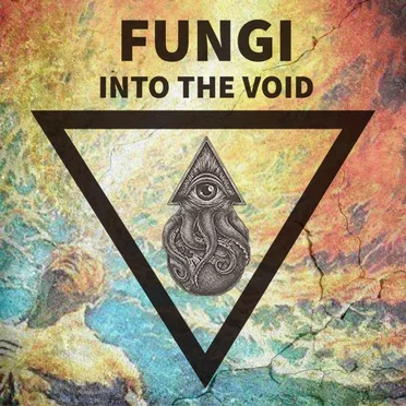 Into The Void by Fungi - album cover