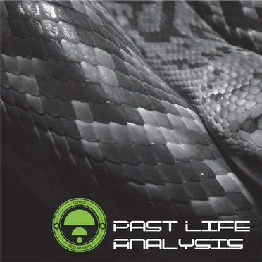 Past Life Analysis by Various Artists - album cover