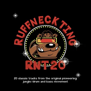 RNT 20 by Various Artists - album cover