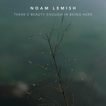 Noam Lemish