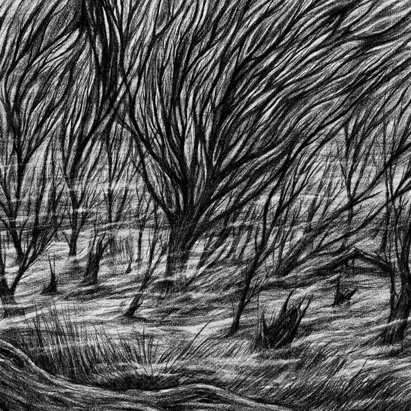 The Eternal Marshes