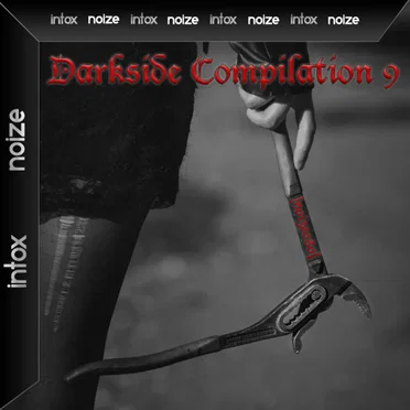 Darkside Compilation vol. 9 by Various Artists - album cover