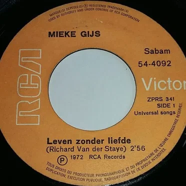 Leven zonder liefde / Fijn dat jij er bent