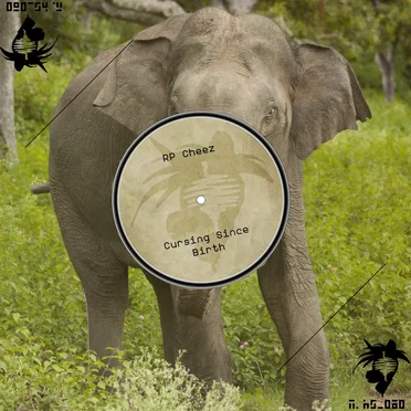 Cursing Since Birth by RP Cheez - album cover