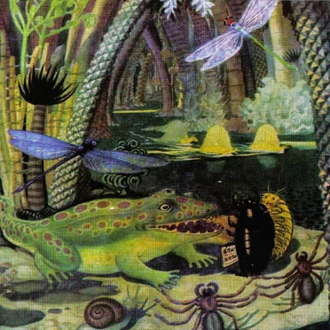 Radio Swampy by Swampy - album cover