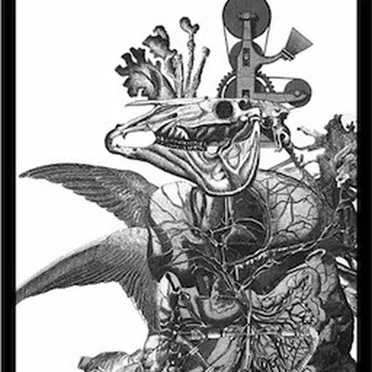 RELEASE THE KRAKEN!!