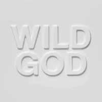 Nick Cave & the Bad Seeds artist image