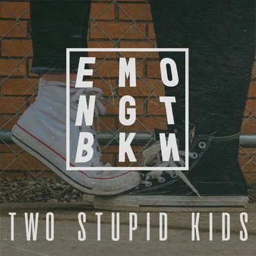 Two Stupid Kids by Emo Night Brooklyn - album cover