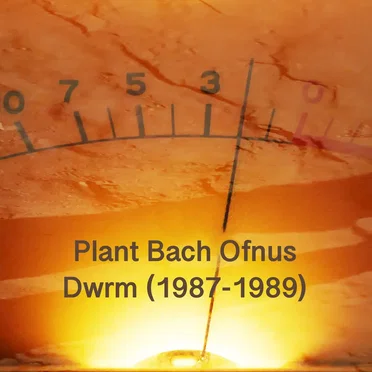 Dwrm (1987-1989) by Plant Bach Ofnus - album cover