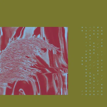 Here From Where We Are by Pariah - album cover