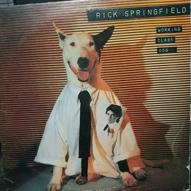 Working Class Dog