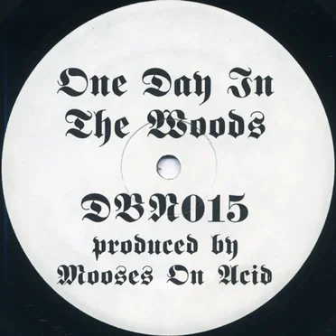 One Day in the Woods by Mooses on Acid - album cover