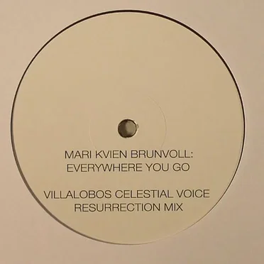 Everywhere You Go (Villalobos Mixes)