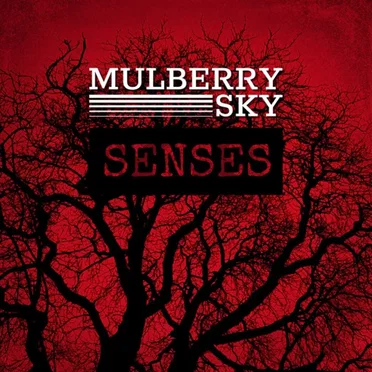 Senses
