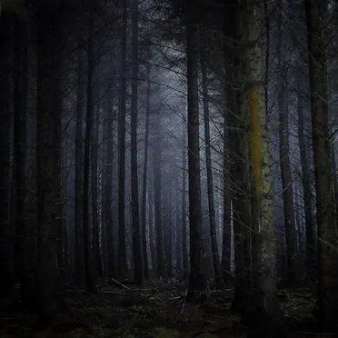 Vanished