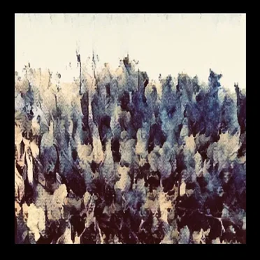 Innerscapes