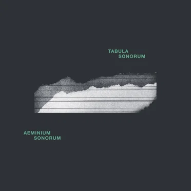 Aeminium Sonorum by Tabula Sonorum Organum - album cover