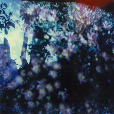 Heads Phased for Dreamless Sleep by Is and of The - album cover