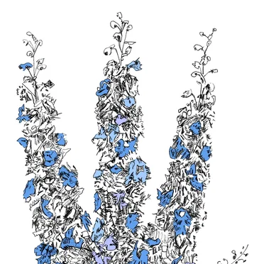 Music To Watch Seeds Grow By 002: Prism (Delphinium Elatum) by Davis Galvin - album cover