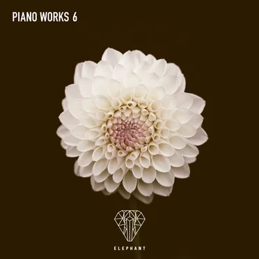 Piano Works 6