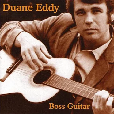 Boss Guitar