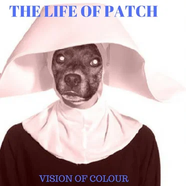 The Life Of Patch by Vision Of Colour (V.O.C.) - album cover