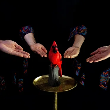 Red Bird by Funhouse Mirrors - album cover