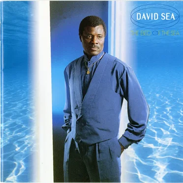 The Bed of the Sea by David Sea - album cover