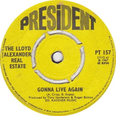 What You Gonna Do by Lloyd Alexander Real Estate - album cover