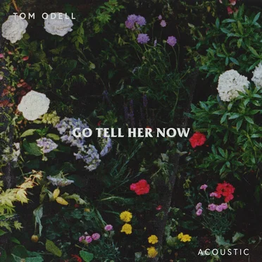 Go Tell Her Now (acoustic)