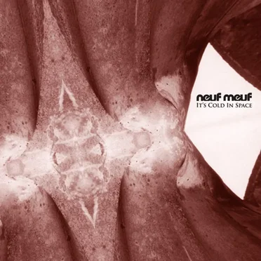 It's Cold in Space by Neuf Meuf - album cover