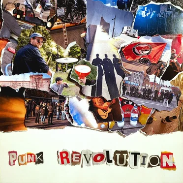 Punk Revolution by FeurigSeinPeter - album cover