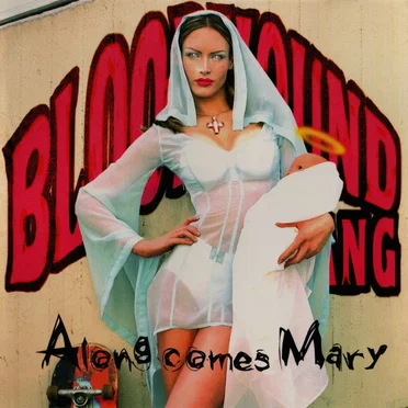 Along Comes Mary