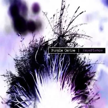 Purple Cerise Experience by Purple Cerise Experience - album cover