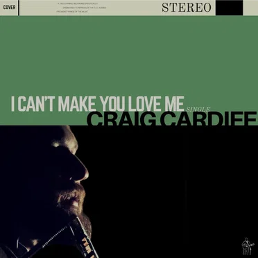 I Can’t Make You Love Me