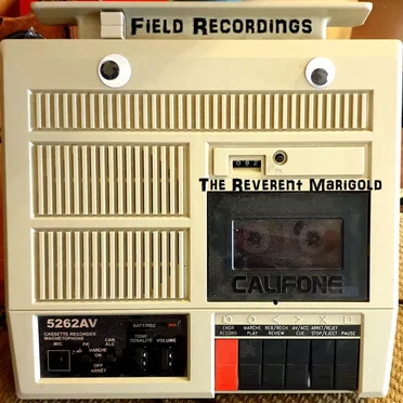 Field Recordings by The Reverent Marigold - album cover
