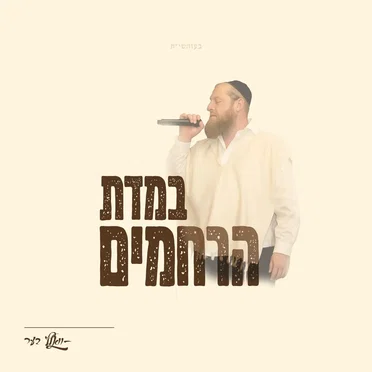 Bemidas Hu'Rachamim by Volf Ber - album cover