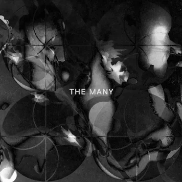 The Many by Various Artists - album cover