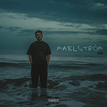 Maelström by Gak - album cover