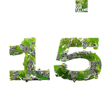 15 Years Stil vor Talent, Part 2 by Various Artists - album cover